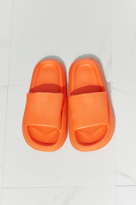 Orange Recovery Slides