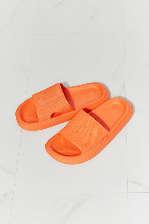 Orange Recovery Slides